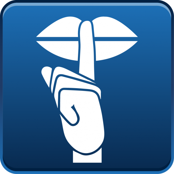 Pramac P11000 Diesel Generator – 9.0 kW Continuous, Single-Phase